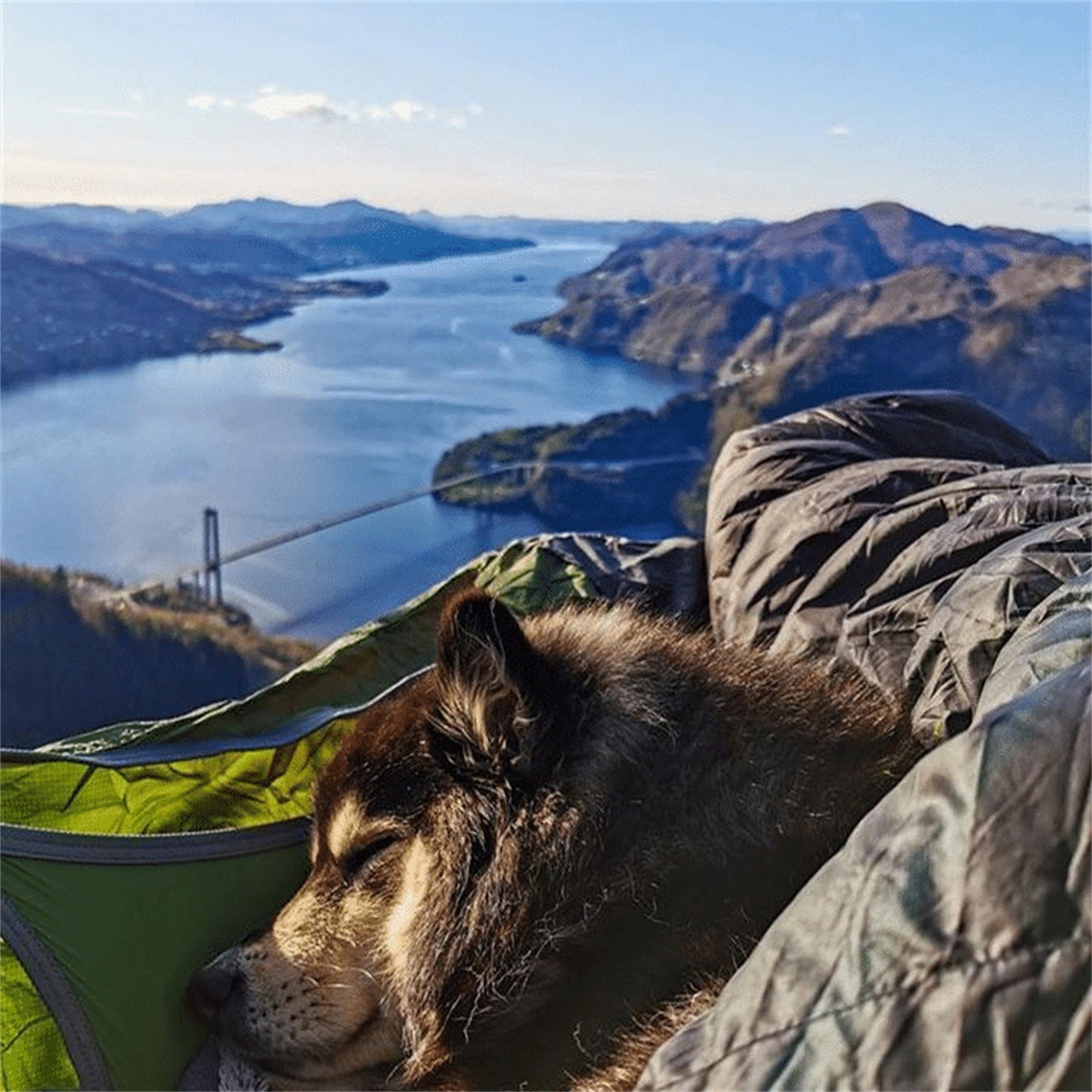 Camping Hammock with Integrated Mosquito Net - Complete Suspension Kit 120kg